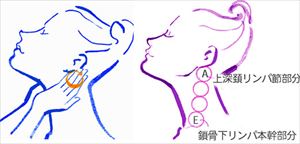 画像引用：http://www.wellba.com/dlm/contents/images/base1s.jpg
